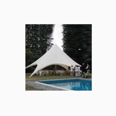 Hot86 Outdoor new fashion modern Aluminum pole party event show exhibition tent for sale